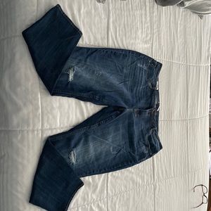 Vigoss Marley Mid Rise Skinny Jean 22W | Indigo